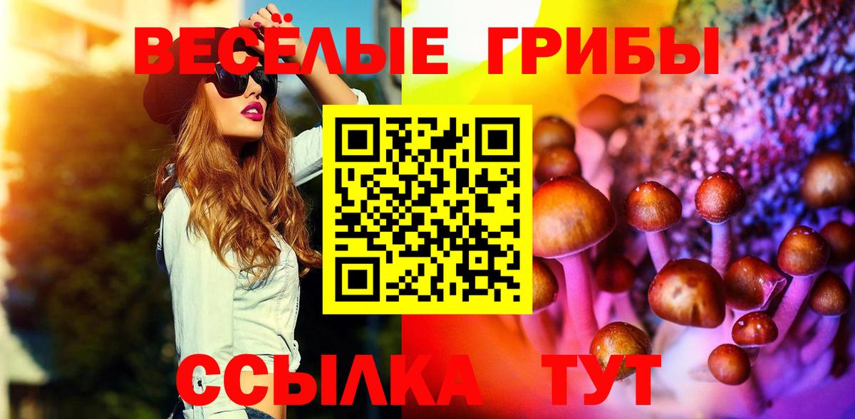 Галлюциногенные грибы Psilocybine cubensis Курган